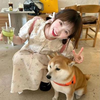 潜行追踪 第三季